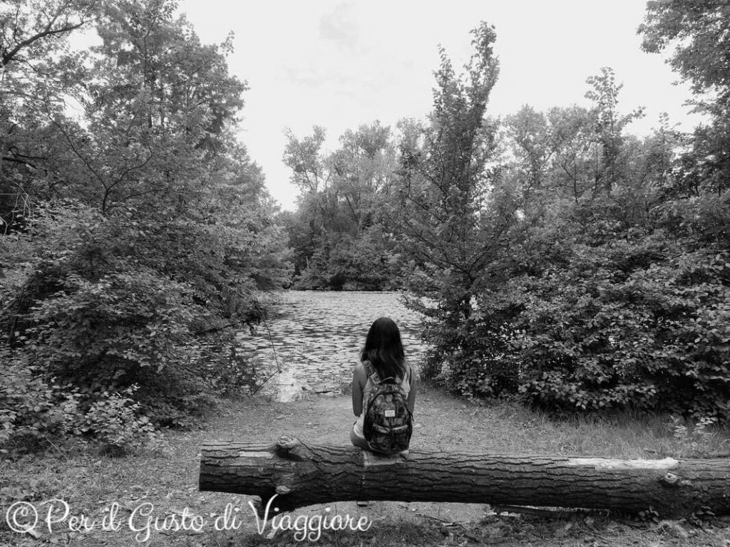 Scorcio del parco di Villa Sorra