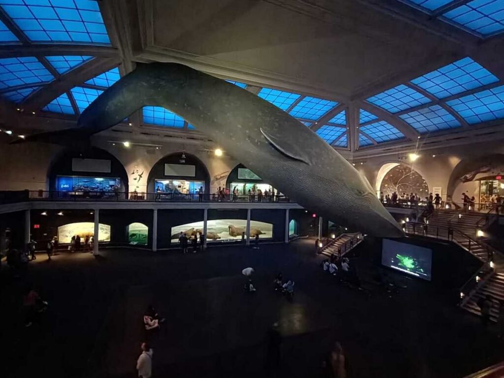 interno-american-museum-of-natural-history