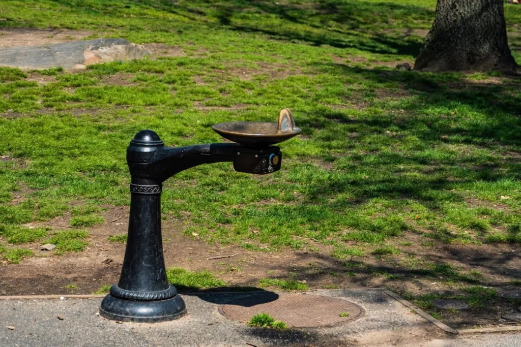 fontanella-di-new-york