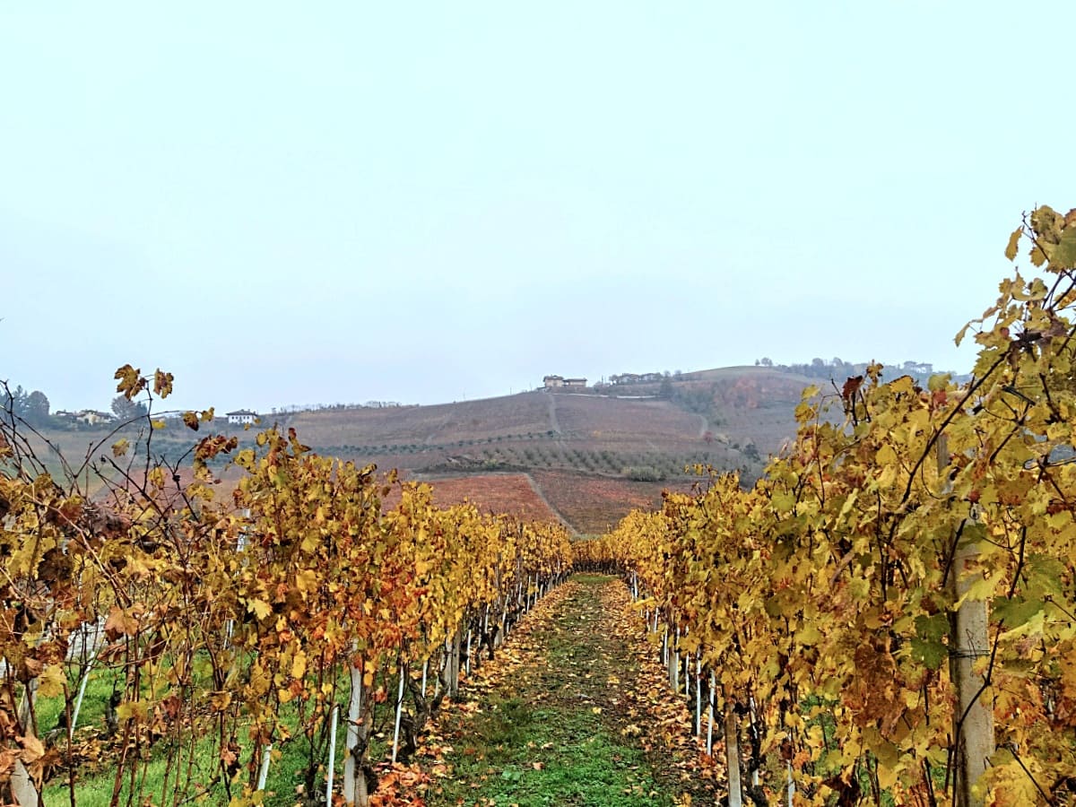 Cosa fare nelle Langhe quando piove