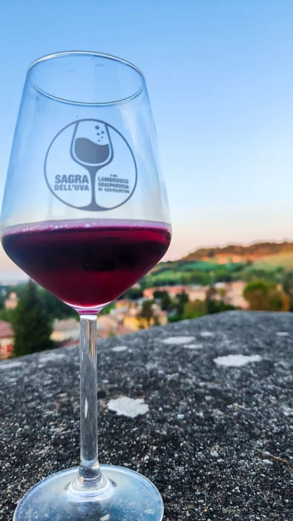 Calice di fronte alle colline di Castelvetro di Modena