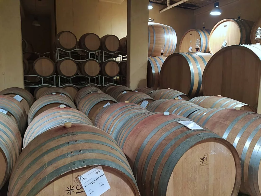 Cantina Wine Resort