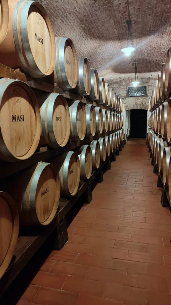 Cantina vino