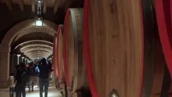 Wine Resort in Italia