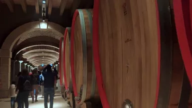 Wine Resort in Italia