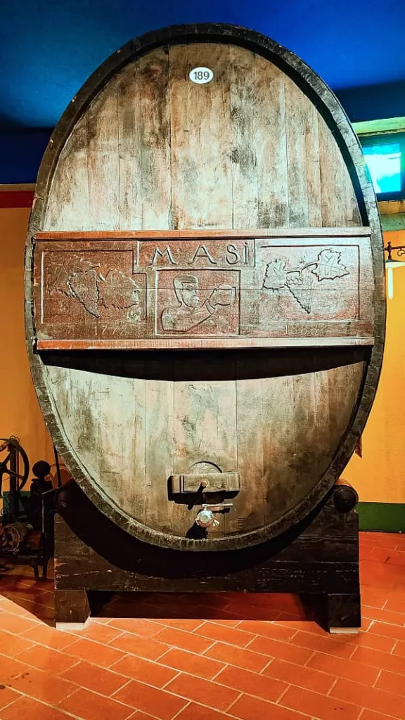 Botte di vino Masi